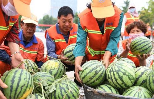 郯城吃瓜最新事件爆料视频,最新爆料视频揭露惊人真相